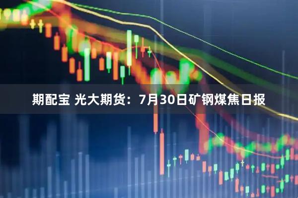 期配宝 光大期货：7月30日矿钢煤焦日报