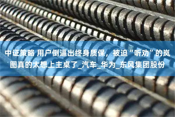 中证策略 用户倒逼出终身质保，被迫“听劝”的岚图真的太想上主桌了_汽车_华为_东风集团股份