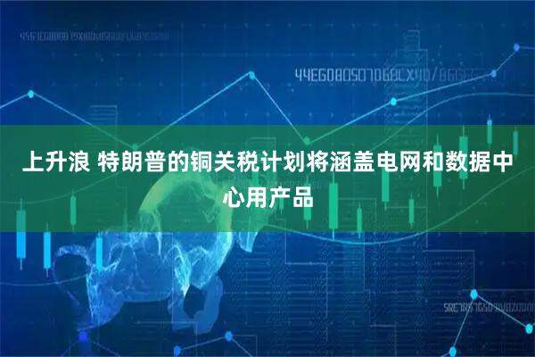 上升浪 特朗普的铜关税计划将涵盖电网和数据中心用产品