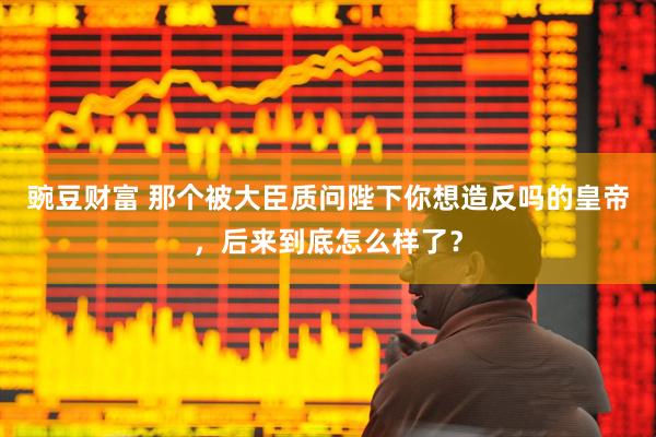 豌豆财富 那个被大臣质问陛下你想造反吗的皇帝，后来到底怎么样了？