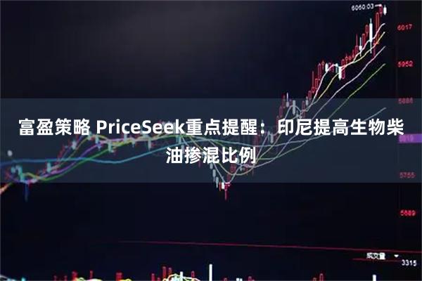 富盈策略 PriceSeek重点提醒：印尼提高生物柴油掺混比例