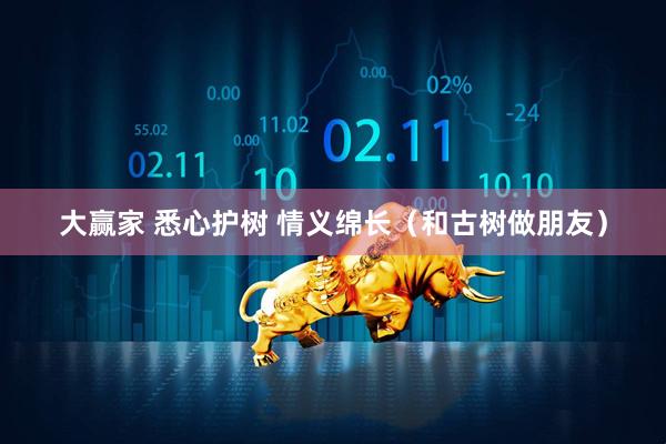 大赢家 悉心护树 情义绵长（和古树做朋友）